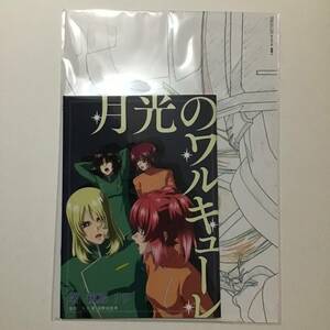 未開封 匿名 映画 機動戦士 ガンダム SEED FREEDOM 来場者 入場者 特典 第11弾 小説 月光のワルキューレ 原画イラストカード セット