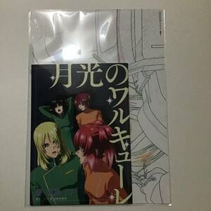 未開封 匿名 映画 機動戦士 ガンダム SEED FREEDOM 来場者 入場者 特典 第11弾 小説 月光のワルキューレ 原画イラストカード セット f