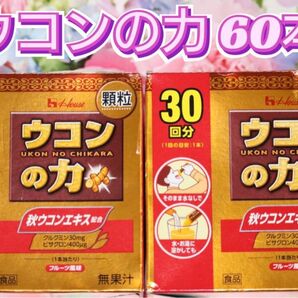 ウコンの力 顆粒タイプ (30本入) × 2箱