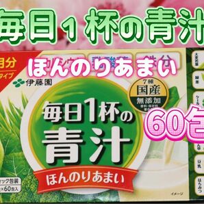 伊藤園 毎日1杯の青汁(ほんのりあまい) スティック 60本