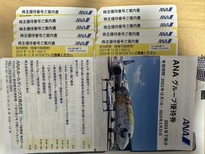 ANA株主優待券 10枚セット 有効期間：2023年12月1日から2024年11月30日まで　グループ優待券冊子1冊付き 送料無料または番号等通知