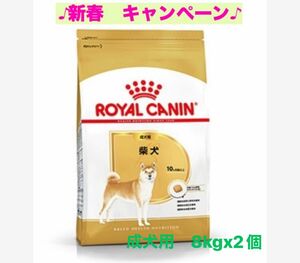 ロイヤルカナン　柴犬成犬用8kg x2個