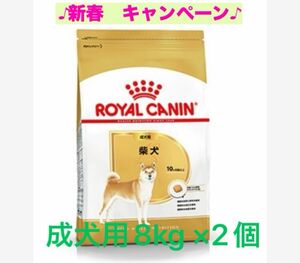 ロイヤルカナン　柴犬成犬用8kg ×2個