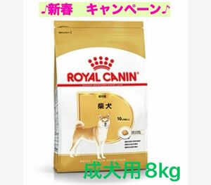 ロイヤルカナン　柴犬成犬用8kg 