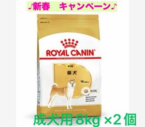 ロイヤルカナン　柴犬成犬用8kg ×2個