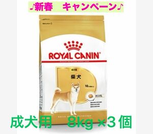 ロイヤルカナン　柴犬成犬用8kg ×3個