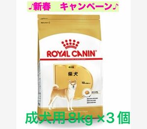 ロイヤルカナン　柴犬成犬用8kg ×3個