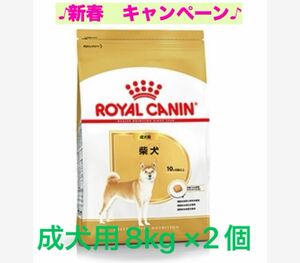 ロイヤルカナン　柴犬成犬用8kg ×2個