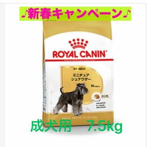 ロイヤルカナンミニチュアシュナウザー成犬用7.5kg