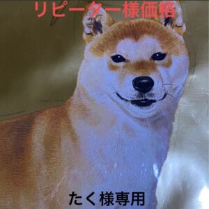 たく様専用　ロイヤルカナン柴犬