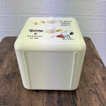 PEANUTS SNOOPY ピーナッツ スヌーピー 小物入れ 箱 ケース_画像10