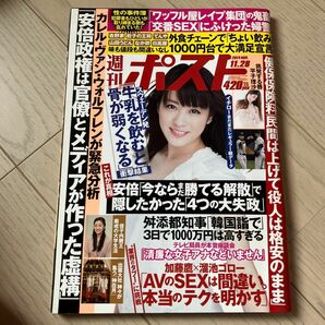 週刊ポスト　2014年11月28日号　北乃きい　平子理沙