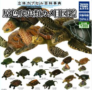 原色爬虫類カメ目図鑑 全15種セット　ガチャ ガシャポン 　コレクション　