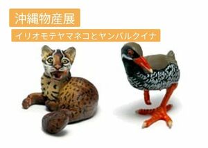 沖縄物産展　イリオモテヤマネコとヤンバルクイナ　海洋堂　サッポロビール