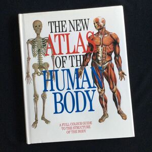 人体のしくみ　構造　イラスト　洋書　英語　Human Body 図鑑　Atlas 