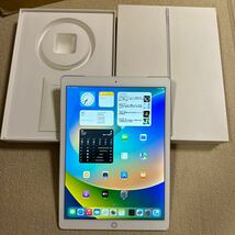 iPad Pro 12.9インチWi-Fi Cellular モデル 128GB ML2J2J/A シルバー Apple _画像10