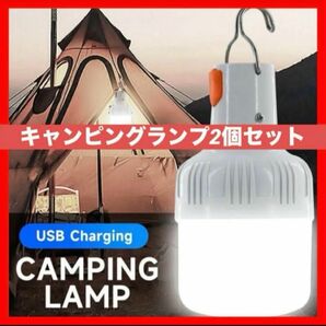 LED屋外照明　キャンプランプ　電球停電緊急灯スモバイル電球　2個セット LED電球 ランプポータブル 屋外 災害エールライト