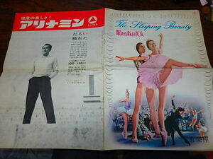  movie pamphlet [f1801... forest. beautiful woman ( breaking equipped )]