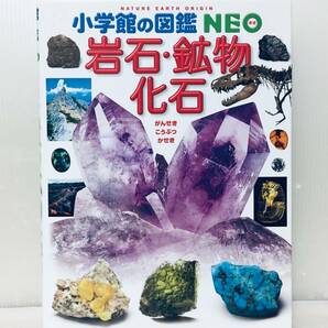 小学館の図鑑NEO 岩石・鉱物・化石