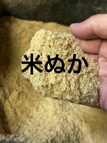 米ぬか　米糠　約２キロ （無農薬朝日米の）