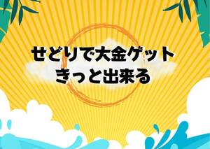 せどりの考え方で投資する方法　あるだけのお金を全て注ぎ込む　まず負けない無敵の投資ビジネス