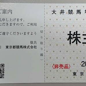 東京都競馬株主優待券８枚（東京サマーランド１dayパス４枚+春秋限定１dayパス４枚）+大井競馬場 入場券1枚 送料無料の画像2