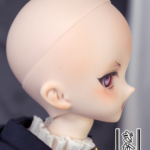 【きな屋】DDH-10 カスタムヘッド (セミホワイト肌)+アイ+角※ソフビ盛りの画像8