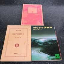 【500円均一 匿名送料無料】3冊まとめ売り 白夜の妖精たち 帰らざる復讐者 ウォームハート コールドボディ 西村寿行 阿部牧郎 【Ｙ241】_画像1