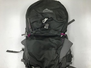 グレゴリー GREGORY 【並品】 バックパック グレー CROSS FLO