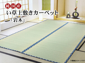  original domestic production .. on bed carpet thread . woven [ rock tree ] three six interval 8 tatami ( approximately 364×364cm)
