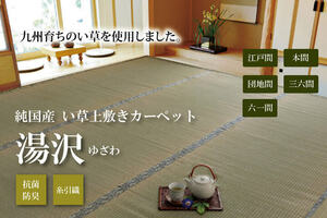 純国産 い草 上敷き カーペット 糸引織 『湯沢』 団地間3畳(約170×255cm）