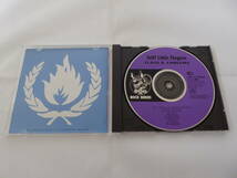 スティッフ・リトル・フィンガーズ (Stiff Little Fingers)フラッグス＆エンブレムス(Flags & Emblems)CD/アルバム/パンク ロック バンド_画像6