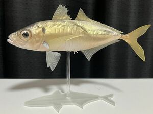 アジ　フィギュア　魚　模型　ハンドメイド　レプリカ　メバリング　アジング　海洋堂　風　ネイチャーテクニカラー　風　釣り　海