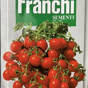 イタリアントマト Red Cherry (レッドチェリー) 種子30粒 固定種 支柱不要の画像1