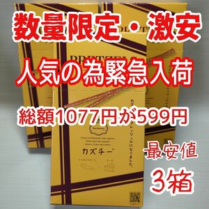 数量限定・激安！北海道限定　カズチープレッツェル　3箱　ノーマル　井原水産　最安値！緊急入荷！