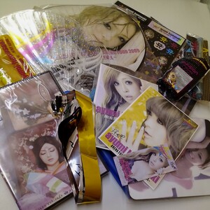 Ayumi Hamasaki Live Goods Set Arena Tour 2009 Uchiwa Pamphlet и т. Д. [Junk]