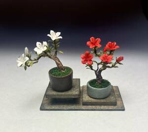 紅白ミヤマキリシマ盆栽飾りミニチュア