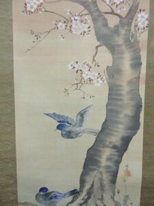 「真筆」 掛軸 桜に鳩 [B24666] 長さ184cm 幅65cm 絹本 箱入り 床の間 飾り 古玩 古美術