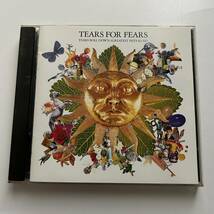 ベスト◎TEARS FOR FEARS - TEARS ROLL DOWN GREATEST HITS 82-92 /ティアーズフォーフィアーズ◎_画像1