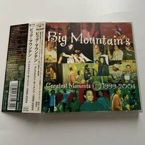 帯付き/国内盤◎BIG MOUNTAIN/ビッグ・マウンテン/グレイテスト・モーメンツ 1999-2004◎ベスト