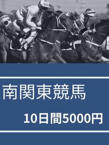 南関東&地方競馬予想　　10日間分で5000円　回数消化制です　