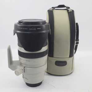 1円〜 Canon キヤノン EF 28-300mm1:3.5-5.6 L IS USM ※動作未確認 現状品 レンズ 317-2590422【O商品】の画像1