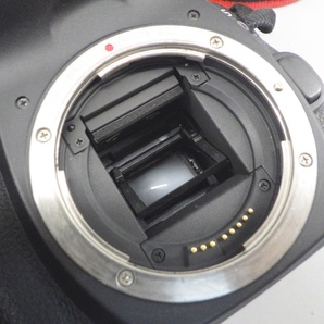 1円〜 Canon キヤノン EOS 80D・EF-S18-135mm F3.5-5.6 IS USM 箱付き ※動作確認済み 現状品 カメラ 333-2629739【O商品】の画像4