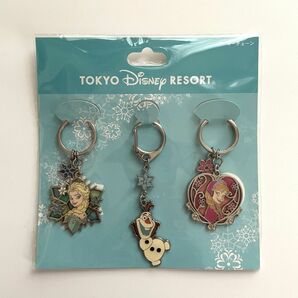 TOKYO Disney RESORT アナと雪の女王 アナ＆エルサ＆オラフ キーチェーン