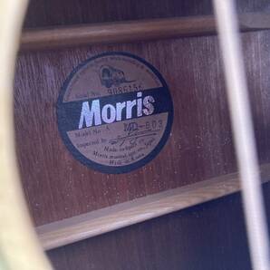 【引取り可 愛知県】 Morris モーリス アコースティックギター MD-503の画像7