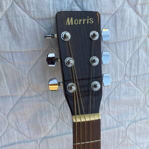 【引取り可 愛知県】 Morris モーリス アコースティックギター MD-503の画像5