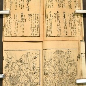 増補地錦抄 8冊揃 宝永七年刊 本草 和本 古文書の画像4