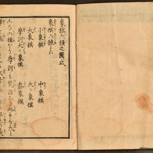 大将棊絹篩 全1冊 将棋 象戯 稀書 文政四年 木版 版本 図面揃 鶴峯戊申 和本 古文書の画像1