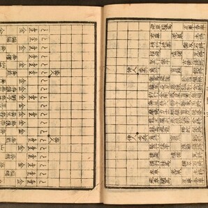 大将棊絹篩 全1冊 将棋 象戯 稀書 文政四年 木版 版本 図面揃 鶴峯戊申 和本 古文書の画像6