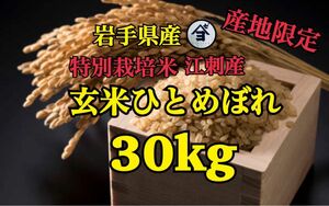 お米　玄米【産地限定！特別栽培米江刺産玄米ひとめぼれ30kg】減農薬栽培米！身体に優しいお米です♪